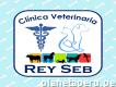 Clínica Veterinaria Rey Seb - Pucallpa