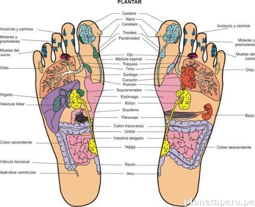 Reflexoterapia Podal