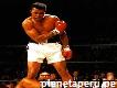 Boxeo Ali: Clases De Boxeo Recreativo Y Defensa Personal
