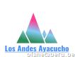 Fumigaciones Ayacucho Los Andes