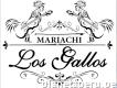 Mariachis En Piura - Los Gallos Mariachi