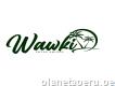 Wawki - Salón para eventos